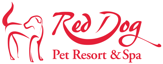 red dog resort and spa