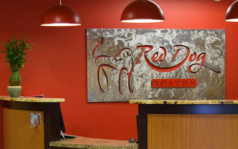 Welcome to Red Dog Boston | Red Dog Pet Resort & Spa