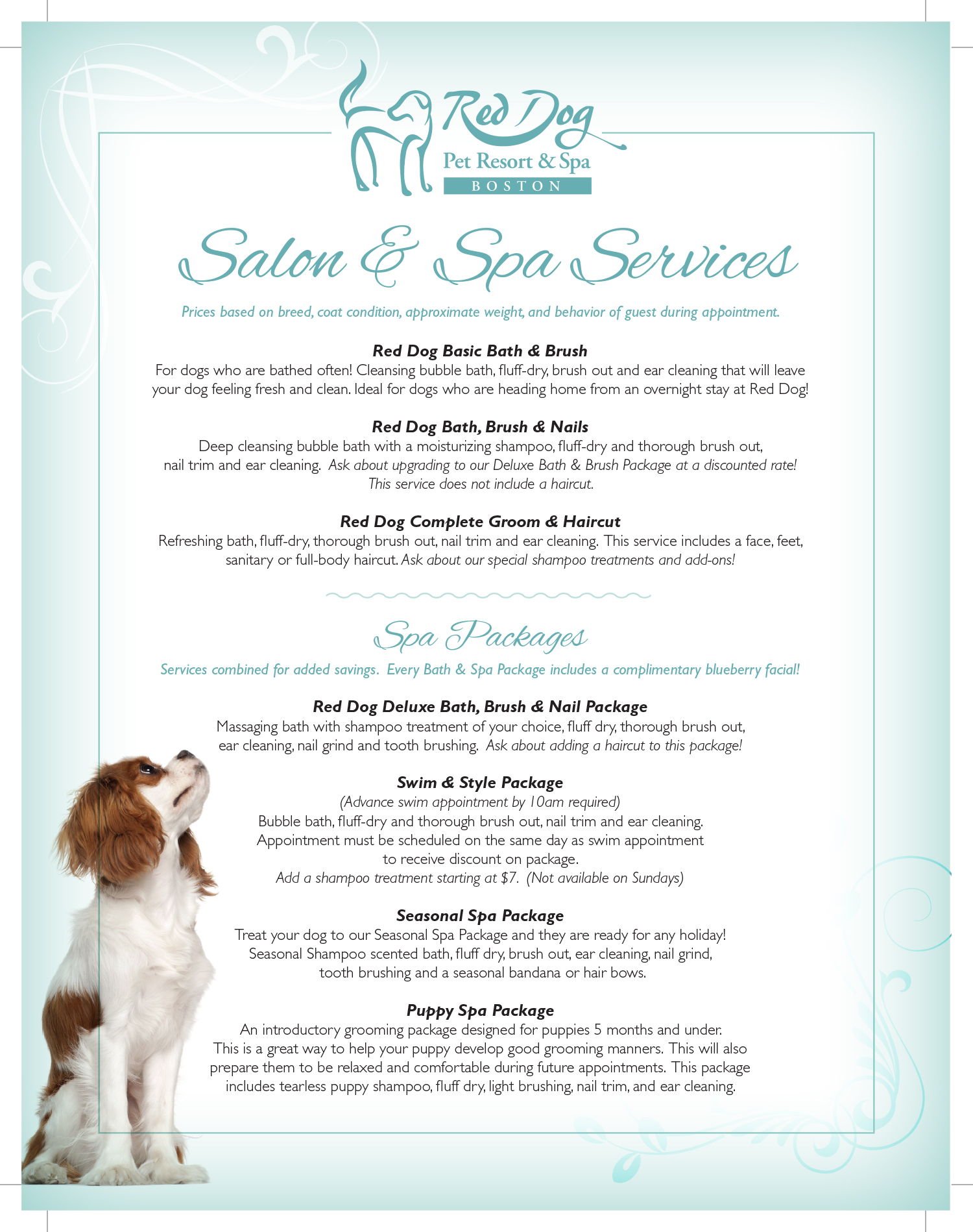 dog grooming services prices
