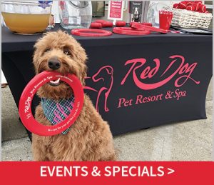 Welcome to Red Dog Cincinnati | Red Dog Pet Resort & Spa