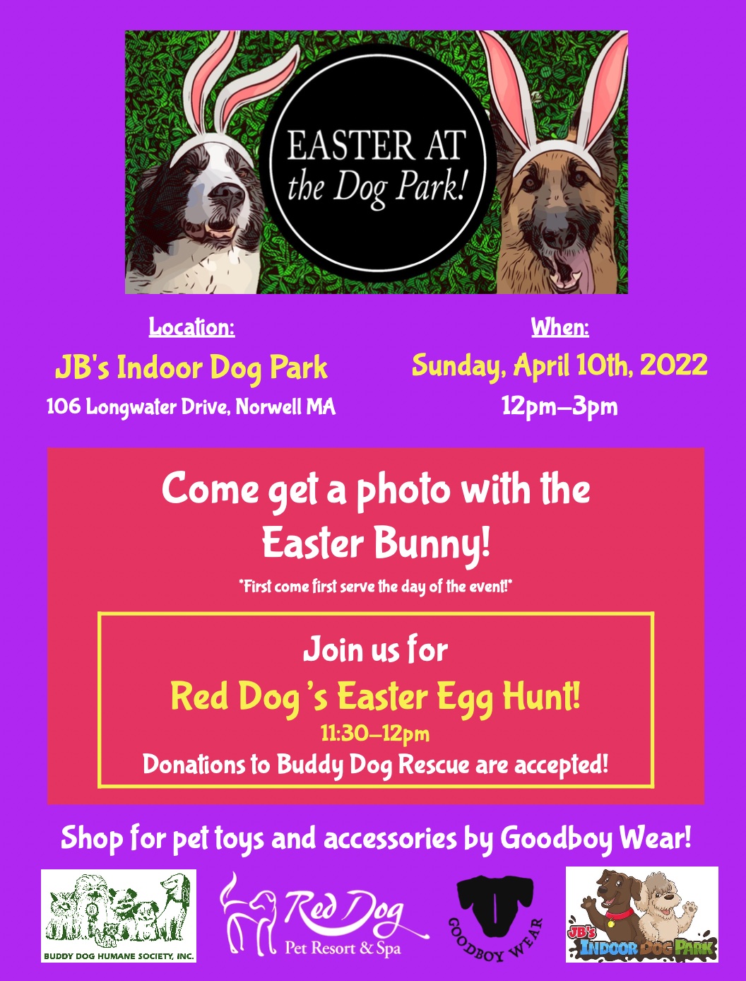 to Red Dog Boston Red Dog Pet Resort & Spa