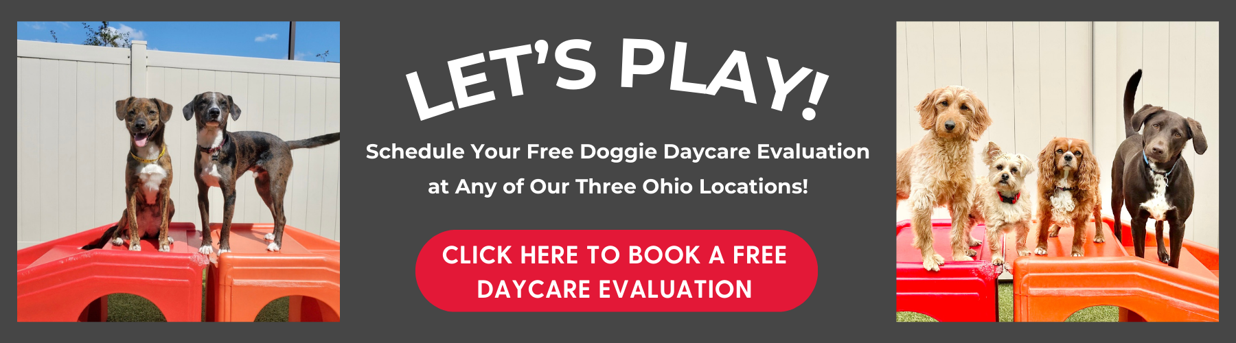 Free Eval Banner SRD (1440 x 550 px) (3)