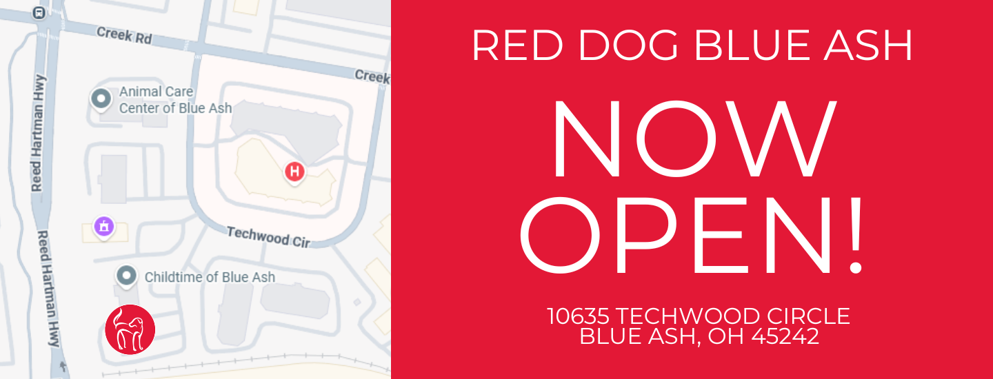 red dog Blue Ash Opening day (1)
