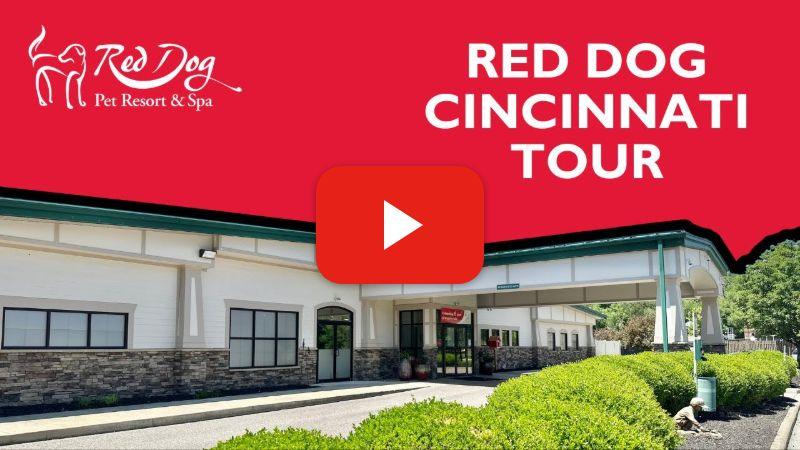 cincinnati-video-poster-1