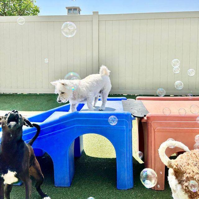 daycare-memberships-image-3