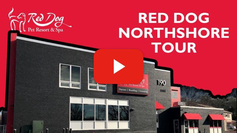 northshore-video-poster-1