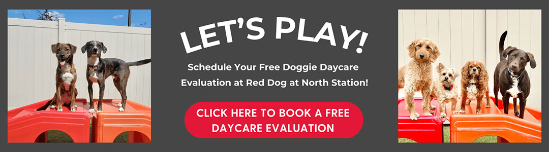 nst-free-eval-banner-1